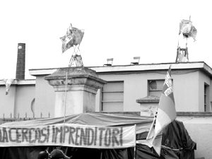 novaceta: cercasi